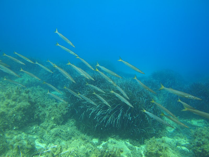 2013-09-12 12-25-47 Johan.JPG